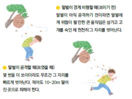 벌초 등 야외활동 시, 말벌 쏘임 조심! 기사 이미지