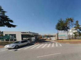 농촌진흥청, '제주 흑우' 암소 30여 마리 6~9월 시범 방목 기사 이미지